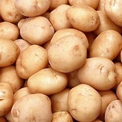 What-Is-Potato-Plant-Pesticide
